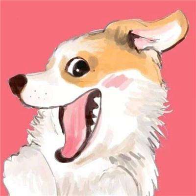 代号弥弥尔官方版下载